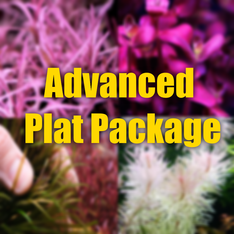 Advanced plant pack