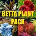 Betta Plant Pack