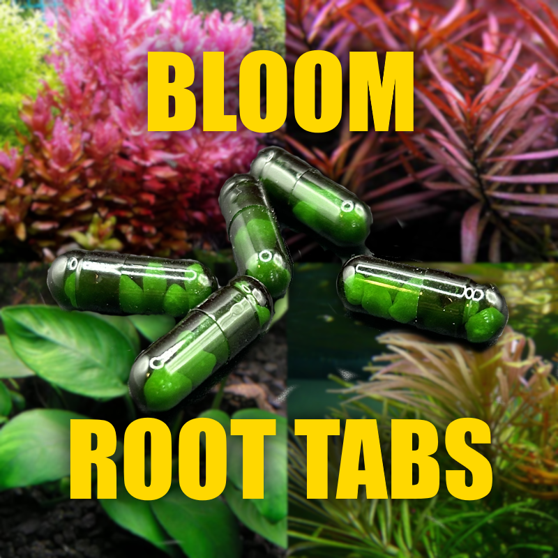 Phosphorus Tabs