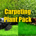 Carpeting plant pack