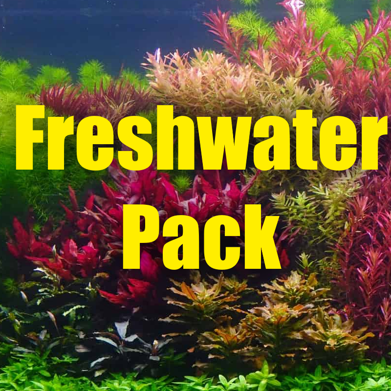 Freshwater plant pack