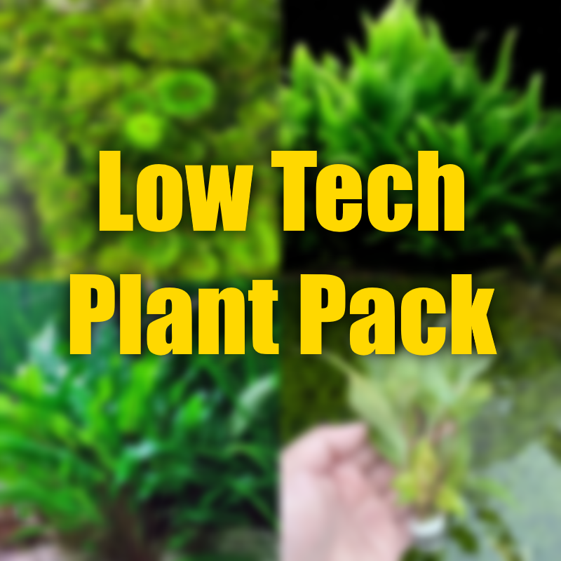 Low Tech plant pack