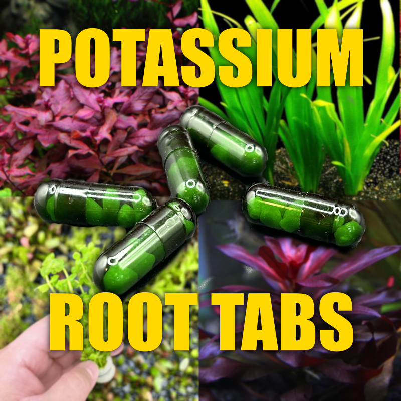 Potassium Root Tabs